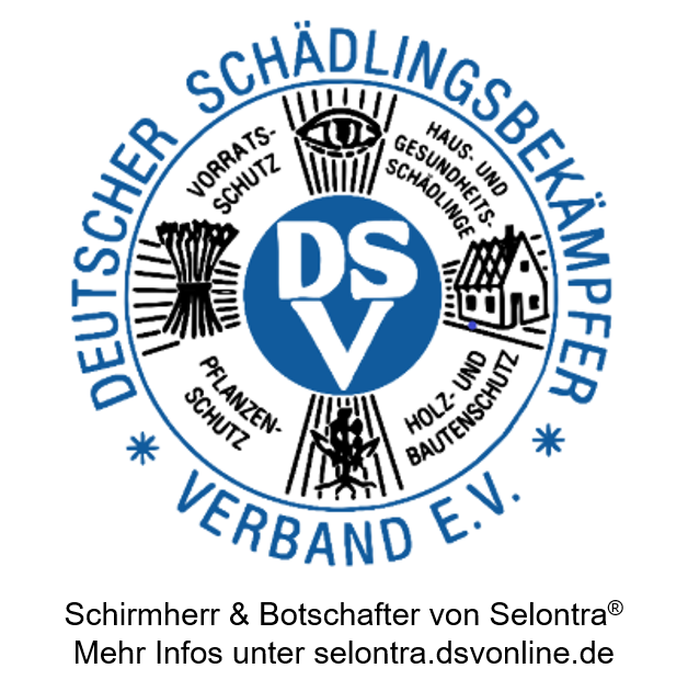 LOGO DSV